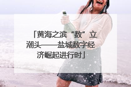 黄海之滨“数”立潮头——盐城数字经济崛起进行时
