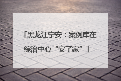 黑龙江宁安：案例库在综治中心“安了家”
