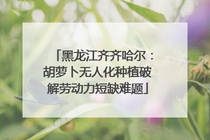 黑龙江齐齐哈尔：胡萝卜无人化种植破解劳动力短缺难题