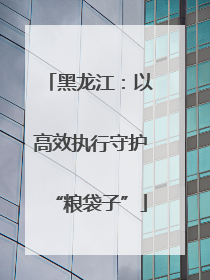 黑龙江：以高效执行守护“粮袋子”