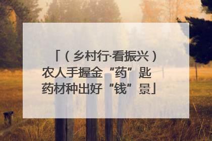 （乡村行·看振兴）农人手握金“药”匙 药材种出好“钱”景