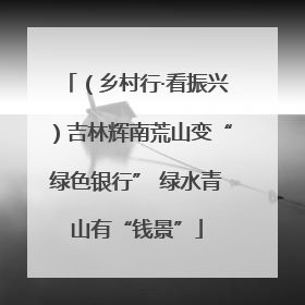 （乡村行·看振兴）吉林辉南荒山变“绿色银行” 绿水青山有“钱景”