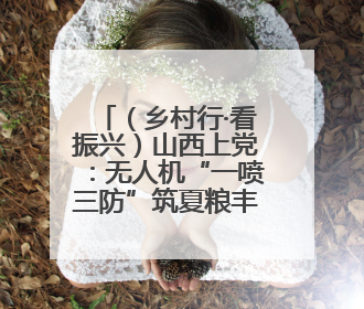 （乡村行·看振兴）山西上党：无人机“一喷三防”筑夏粮丰收屏障