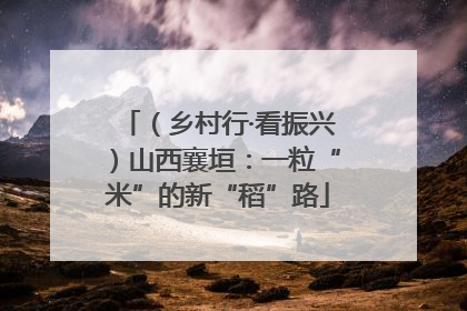 （乡村行·看振兴）山西襄垣：一粒“米”的新“稻”路