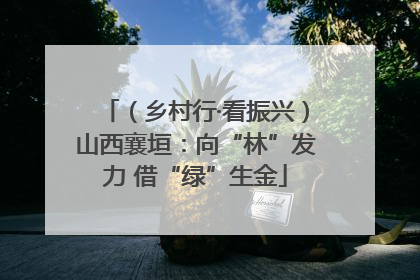 （乡村行·看振兴）山西襄垣：向“林”发力 借“绿”生金