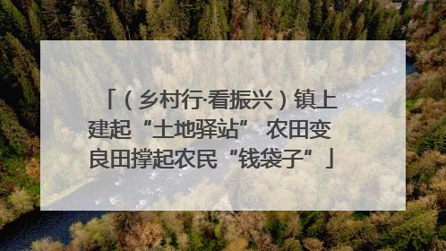 （乡村行·看振兴）镇上建起“土地驿站” 农田变良田撑起农民“钱袋子”