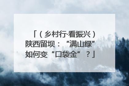 （乡村行·看振兴）陕西留坝：“满山绿”如何变“口袋金”？