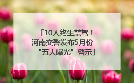 10人终生禁驾！河南交警发布5月份“五大曝光”警示