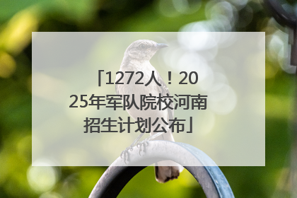 1272人！2025年军队院校河南招生计划公布
