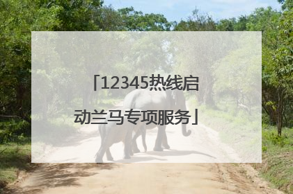 12345热线启动兰马专项服务
