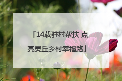 14载驻村帮扶 点亮灵丘乡村幸福路