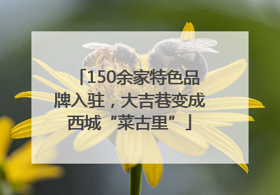 150余家特色品牌入驻，大吉巷变成西城“菜古里”