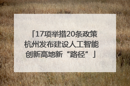 17项举措20条政策 杭州发布建设人工智能创新高地新“路径”