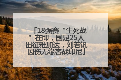 18强赛“生死战”在即，国足25人出征雅加达，刘若钒因伤无缘客战印尼