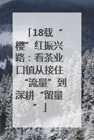 18载“樱”红振兴路：看茶业口镇从接住“流量”到深耕“留量”
