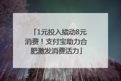 1元投入撬动8元消费！支付宝助力合肥激发消费活力