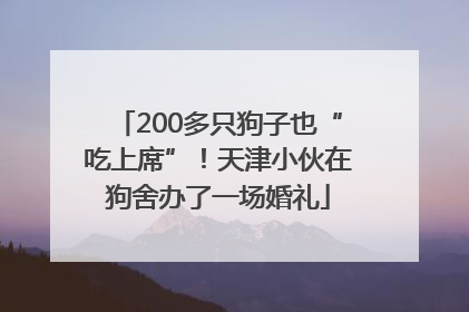 200多只狗子也“吃上席”！天津小伙在狗舍办了一场婚礼