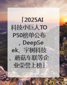 2025AI科技小巨人TOP50榜单公布，DeepSeek、宇树科技、蘑菇车联等企业荣誉上榜