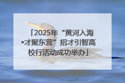 2025年“黄河入海•才聚东营”招才引智高校行活动成功举办