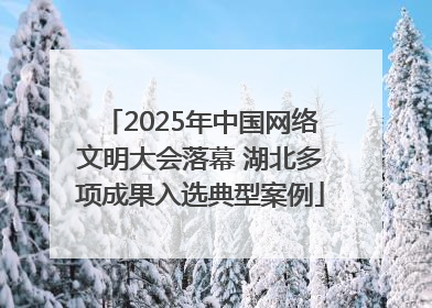 2025年中国网络文明大会落幕 湖北多项成果入选典型案例