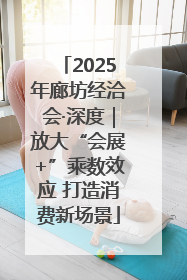 2025年廊坊经洽会·深度｜放大“会展+”乘数效应 打造消费新场景