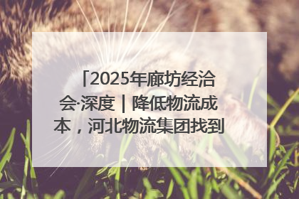 2025年廊坊经洽会·深度｜降低物流成本，河北物流集团找到一把“金钥匙”