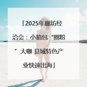 2025年廊坊经洽会：小箱包“圈粉”大咖 县域特色产业快速出海