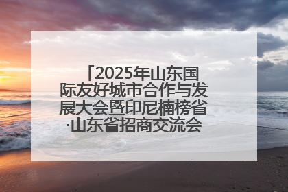2025年山东国际友好城市合作与发展大会暨印尼楠榜省·山东省招商交流会在济南槐荫举行