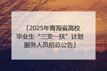 2025年青海省高校毕业生“三支一扶”计划服务人员招募公告