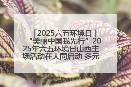 2025六五环境日丨“美丽中国我先行”2025年六五环境日山西主场活动在大同启动 多元形式绘就生态画卷