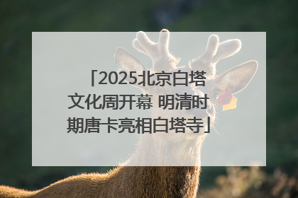 2025北京白塔文化周开幕 明清时期唐卡亮相白塔寺