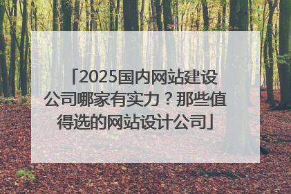 2025国内网站建设公司哪家有实力？那些值得选的网站设计公司