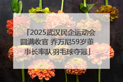 2025武汉民企运动会圆满收官 乔万尼59岁董事长率队羽毛球夺冠