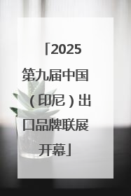 2025第九届中国（印尼）出口品牌联展开幕