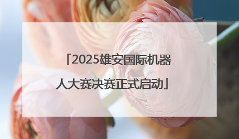 2025雄安国际机器人大赛决赛正式启动