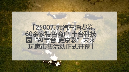 2500万元汽车消费券、60余家特色商户 丰台科技园“AI丰台 更京彩”未来玩家市集活动正式开幕