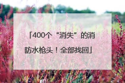 400个“消失”的消防水枪头！全部找回