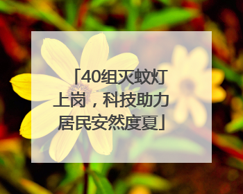 40组灭蚊灯上岗，科技助力居民安然度夏