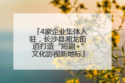 4家企业集体入驻，长沙县湘龙街道打造“短剧+”文化影视新地标