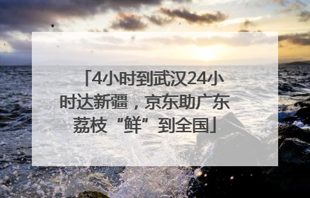 4小时到武汉24小时达新疆，京东助广东荔枝“鲜”到全国