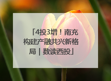 4投3增！南充构建产融共兴新格局｜数读西投