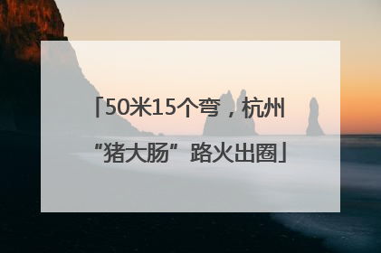 50米15个弯，杭州“猪大肠”路火出圈