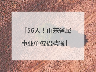 56人！山东省属事业单位招聘啦