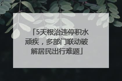 5天根治违停积水顽疾，多部门联动破解居民出行难题