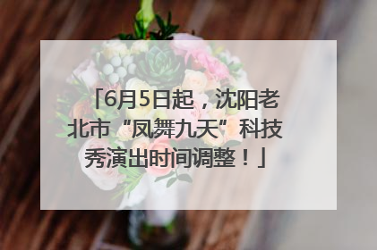 6月5日起，沈阳老北市“凤舞九天”科技秀演出时间调整！