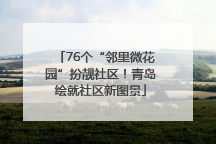 76个“邻里微花园”扮靓社区！青岛绘就社区新图景