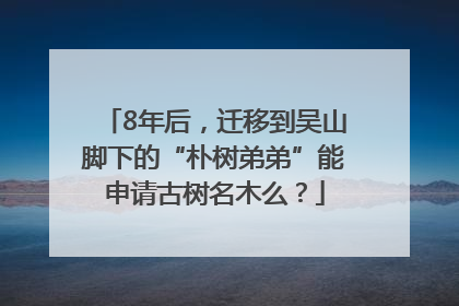 8年后，迁移到吴山脚下的“朴树弟弟”能申请古树名木么？