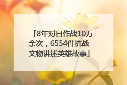 8年对日作战10万余次，6554件抗战文物讲述英雄故事