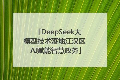 DeepSeek大模型技术落地江汉区 AI赋能智慧政务