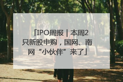 IPO周报｜本周2只新股申购，国网、南网“小伙伴”来了